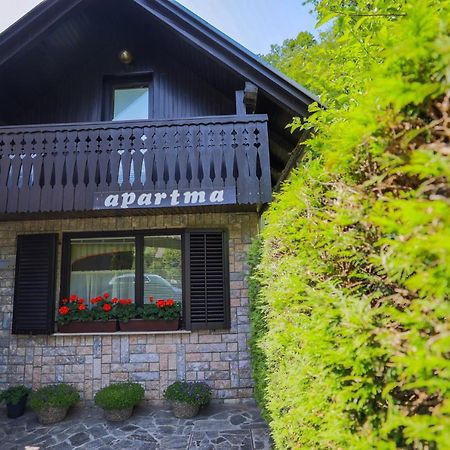 Pocitniska Hisa Zvan Bohinji-tó Kültér fotó